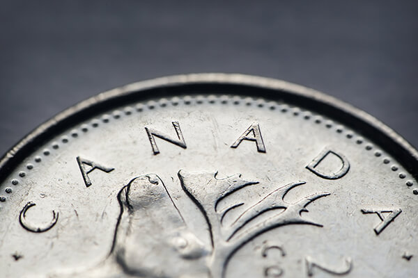 A close up image of a Canadian quarter