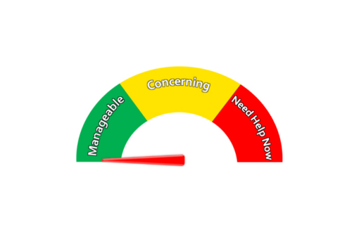 Financial Assessment Tool Meter