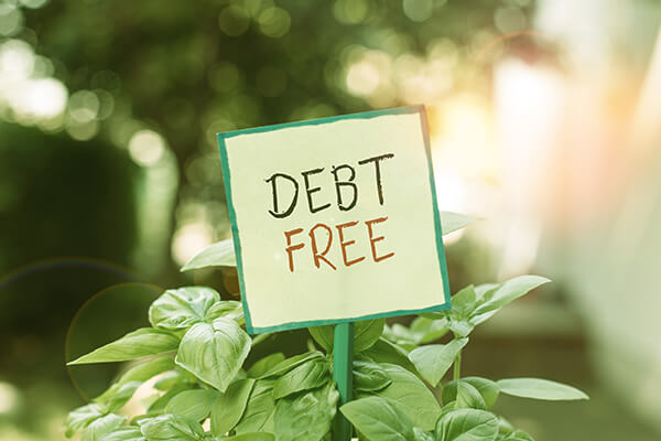 Debt free sign in a plant pot