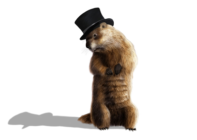 Financial Management & Planning for the Future | What Does a Groundhog Know About Money?