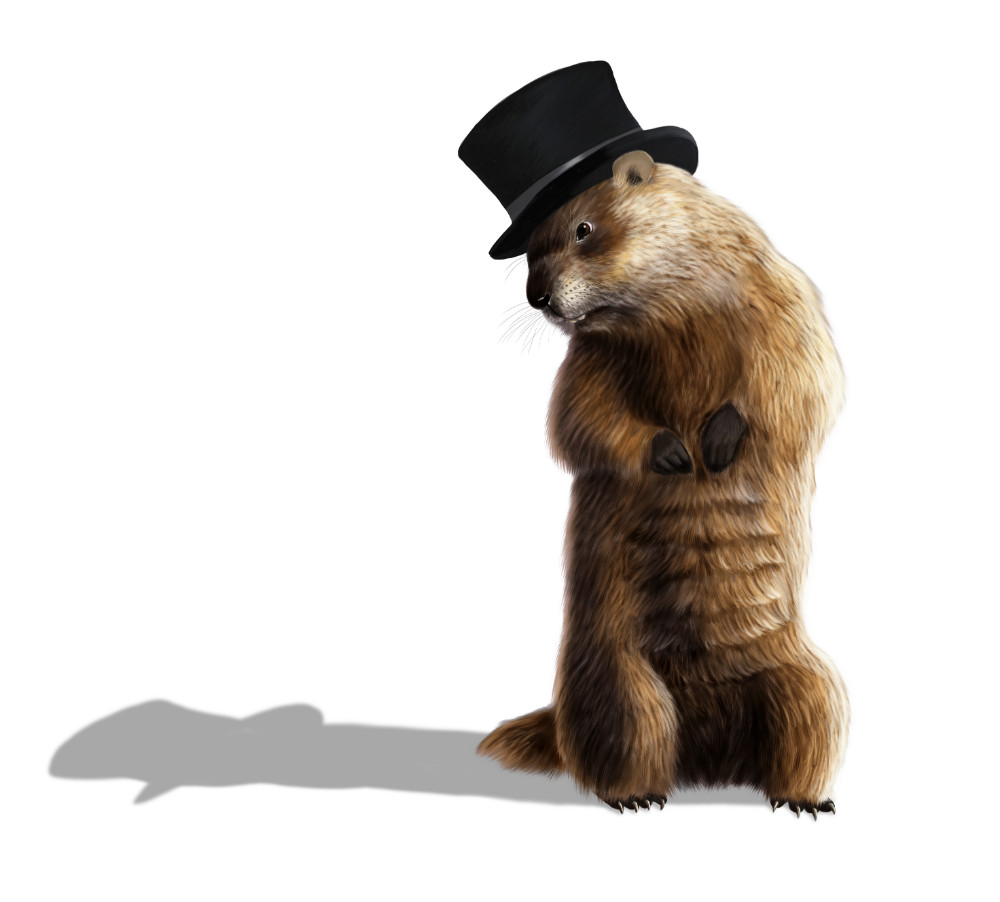 What Groundhog Day has to do with financial planning and management.