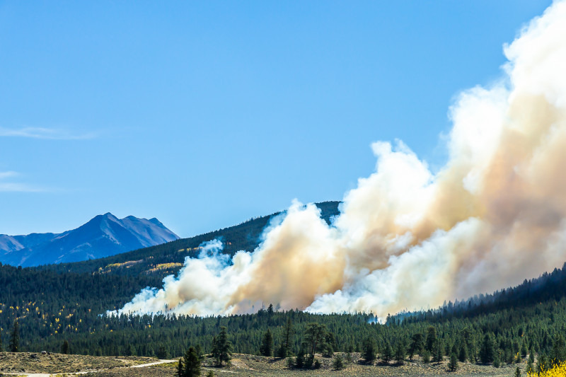 A forest fire wildfire on a mountain side.