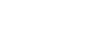 Logo 9
