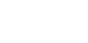 Logo 12