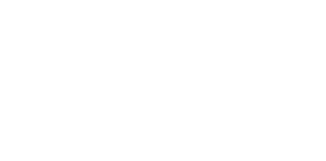 Logo 15