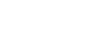 Logo 9